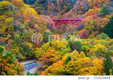 松川渓谷（秋）　高山村 132928648