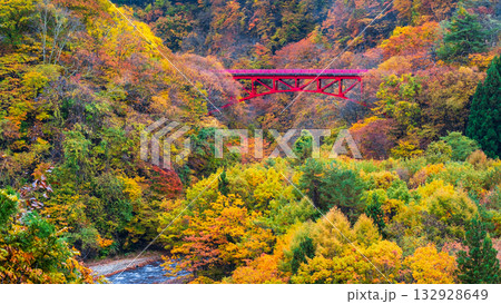 松川渓谷（秋）　高山村 132928649