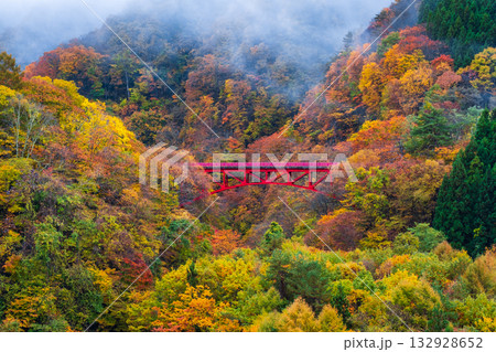 松川渓谷(秋) 高山村 松川渓谷(秋) 高山村 132928652
