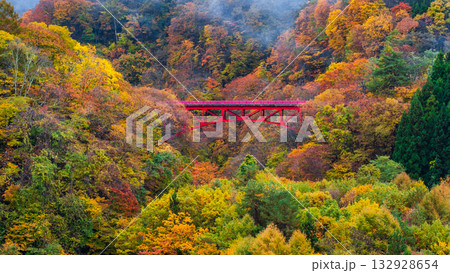 松川渓谷（秋）　高山村 132928654