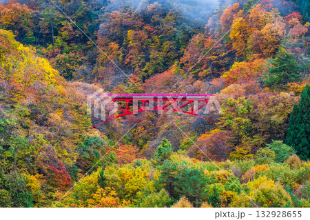 松川渓谷(秋) 高山村 松川渓谷(秋) 高山村 132928655