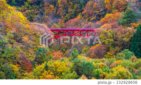 松川渓谷（秋）　高山村 132928656