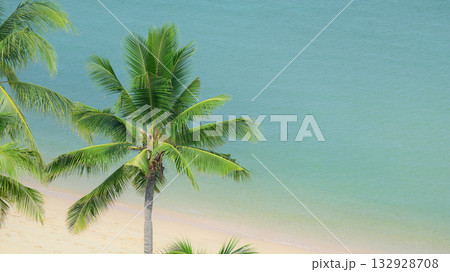 beautiful beach with palm tree and white sand in summertime 132928708