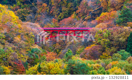 松川渓谷(秋) 高山村 松川渓谷(秋) 高山村 132928811