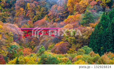 松川渓谷(秋) 高山村 松川渓谷(秋) 高山村 132928814