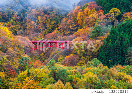 松川渓谷（秋）　高山村 132928815