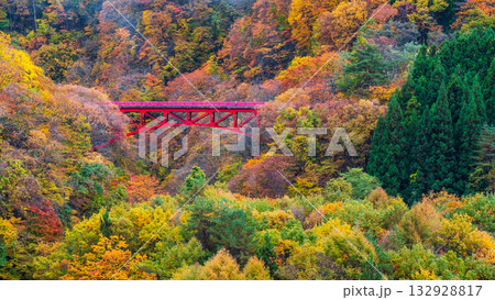 松川渓谷（秋）　高山村 132928817