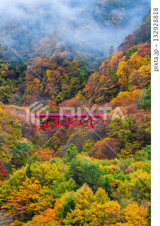 松川渓谷(秋) 高山村 松川渓谷(秋) 高山村 132928818