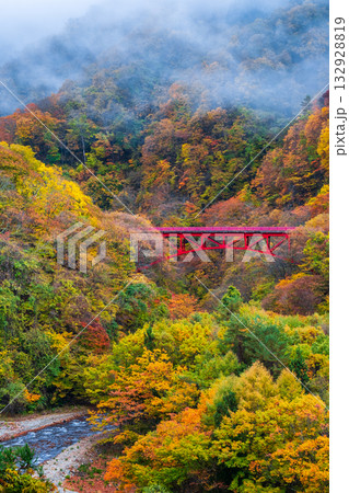 松川渓谷(秋) 高山村 松川渓谷(秋) 高山村 132928819