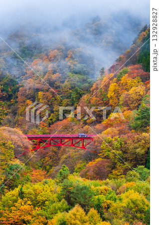 松川渓谷（秋）　高山村 132928827