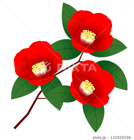 ツバキ　花　年賀状　アイコン	 132929198