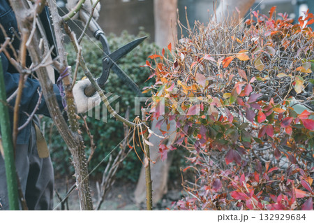 Japanese Gardener 132929684