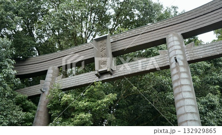 高千穂神社の鳥居を見上げる 132929865