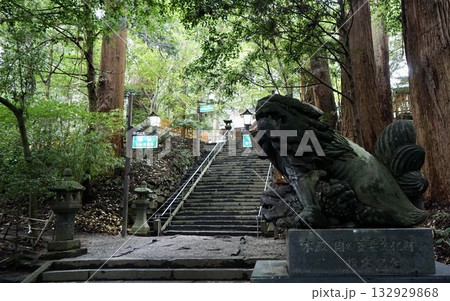 高千穂神社狛犬右 132929868