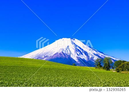 美瑛町の丘陵地帯に広がる田園風景の絶景 美瑛町の丘陵地帯に広がる田園風景の絶景 132930265
