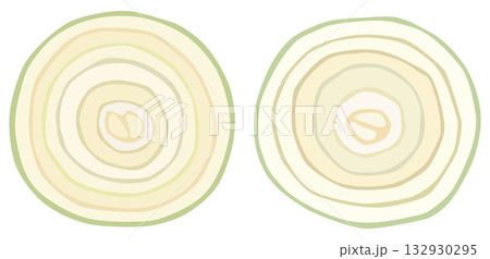 輪切りにした玉ねぎのイラスト 断面 ベクター素材 輪切りにした玉ねぎのイラスト 断面 ベクター素材 132930295