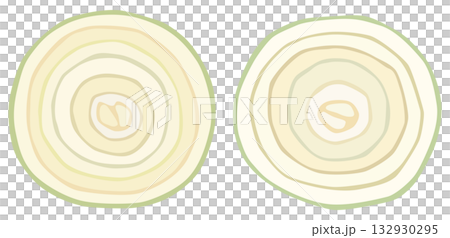 輪切りにした玉ねぎのイラスト 断面 ベクター素材 輪切りにした玉ねぎのイラスト 断面 ベクター素材 132930295