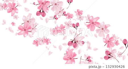 桜　春　風景　背景　 132930426