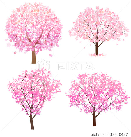 桜　春　風景　背景　 132930437