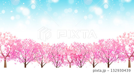 桜 春 風景 背景 桜 春 風景 背景 132930439
