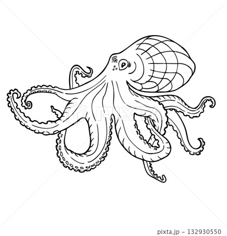 Octopus. Vector black engraving vintage illustrations. Vector illustration of octopus isolated on white background Octopus. Vector black engraving vintage illustrations. Vector illustration of octopus isolated on white background 132930550