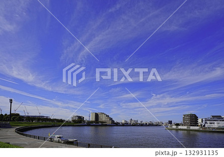 中川から見た奥戸のマンション 132931135