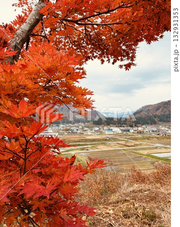 紅葉する高台から望む里山（11月 福島県只見町 只見駅付近）縦 132931353
