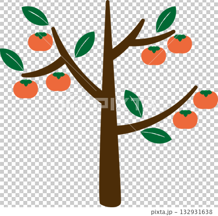 簡單的柿子樹 | 讓你感受到豐收季節的插畫素材 132931638