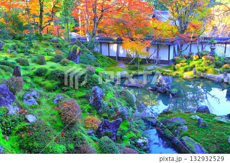 秋の西明寺(蓬莱庭・滋賀県甲良町) 秋の西明寺(蓬莱庭・滋賀県甲良町) 132932529
