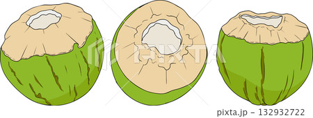 Vector colored illustrations of coconuts. Perfect for tropical for food themed designs. Vector colored illustrations of coconuts. Perfect for tropical for food themed designs. 132932722