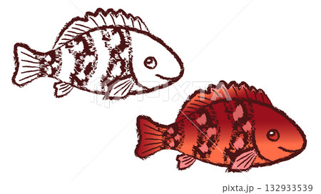 アカハタ 132933539