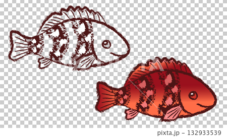 アカハタ 132933539