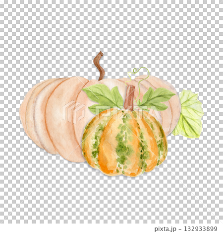 Orange pumpkins, leaves, green speckles, brown stems. Hand-painted watercolor autumn composition perfect for Thanksgiving design, Halloween, seasonal stationery, packaging, rustic kitchen decor.  132933899