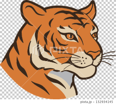 tiger icon vector isolated on white background 132934145