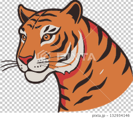 tiger icon vector isolated on white background 132934146