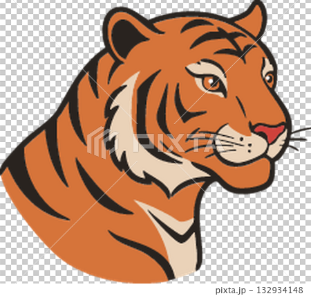 tiger icon vector sign symbol for design 132934148