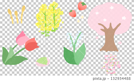 春のかわいい花セット 春のかわいい花セット 132934488