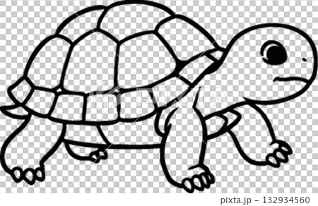 vector set of turtle vector set of turtle 132934560