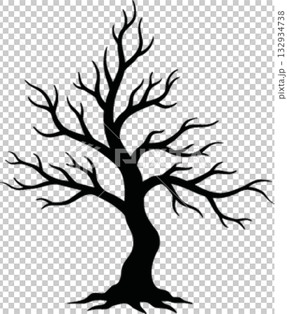 dead tree isolated on white background 132934738