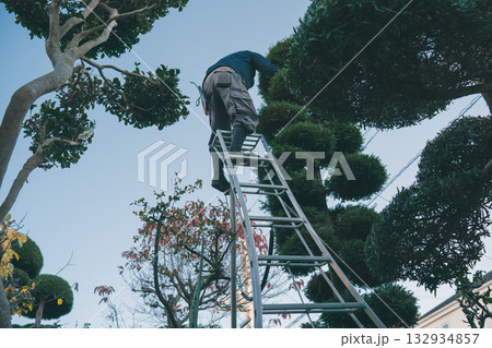 Japanese Gardener Japanese Gardener 132934857