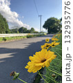 夏休みの黄色い花と青い空 132935776