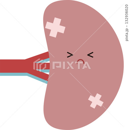 病気の脾臓のイラスト 132936020