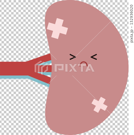 病気の脾臓のイラスト 132936020