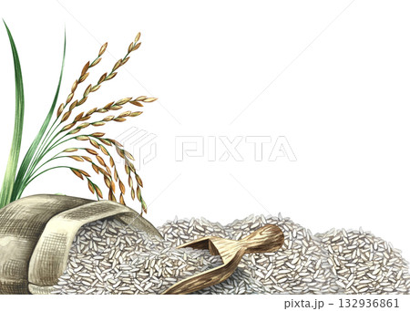 Frame with rice, a sack, rice stalks, and a wooden spatula. Hand-drawn watercolor illustrations. For menus, recipes, cookbooks, banners, packaging, labels, and more. 132936861