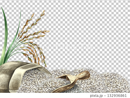 Frame with rice, a sack, rice stalks, and a wooden spatula. Hand-drawn watercolor illustrations. For menus, recipes, cookbooks, banners, packaging, labels, and more. 132936861