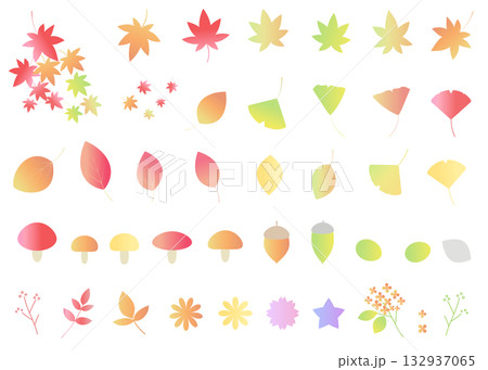 秋をイメージしたイラストセット　アイコン　紅葉　青もみじ　イチョウ　葉っぱ 132937065