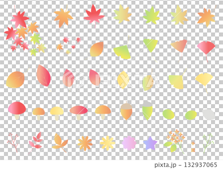 秋をイメージしたイラストセット　アイコン　紅葉　青もみじ　イチョウ　葉っぱ 132937065