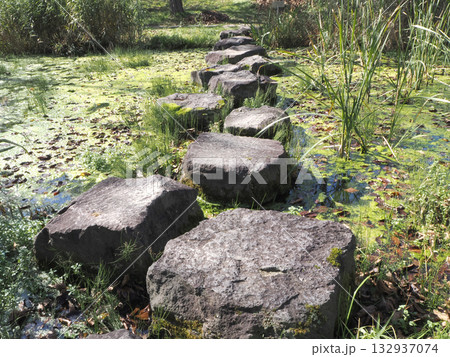 藻だらけの池にある飛び石 132937074