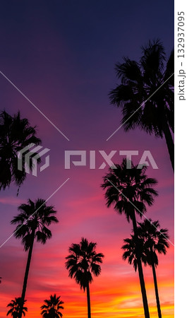 Stunning tropical sunset silhouette with vibrant pink and purple skies, perfect for travel blog or vacation promotion with calming, beautiful view Stunning tropical sunset silhouette with vibrant pink and purple skies, perfect for travel blog or vacation promotion with calming, beautiful view 132937095