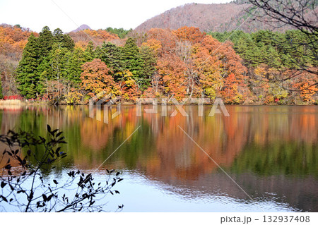 観音沼と紅葉 観音沼と紅葉 132937408